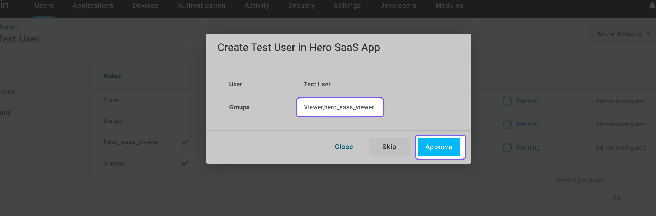 Approving 'Test User' for the 'Hero SaaS App' with assigned groups: Viewer and hero_saas_viewer.